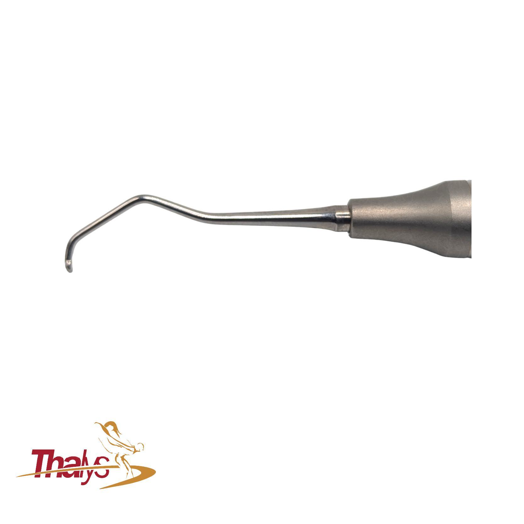 Cureta DeMarco vista 2